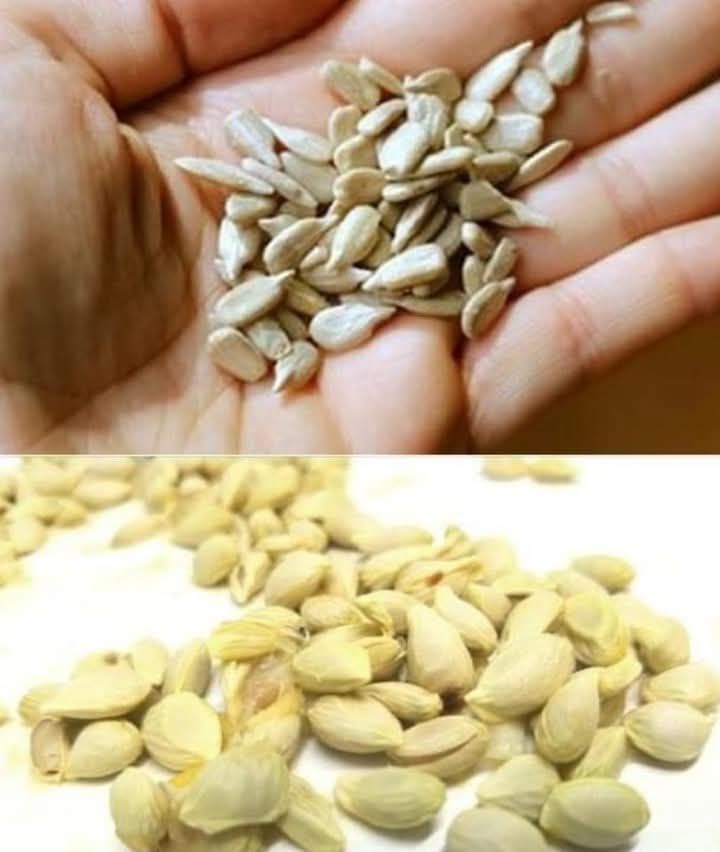 Natural Headache Remedy with Seeds