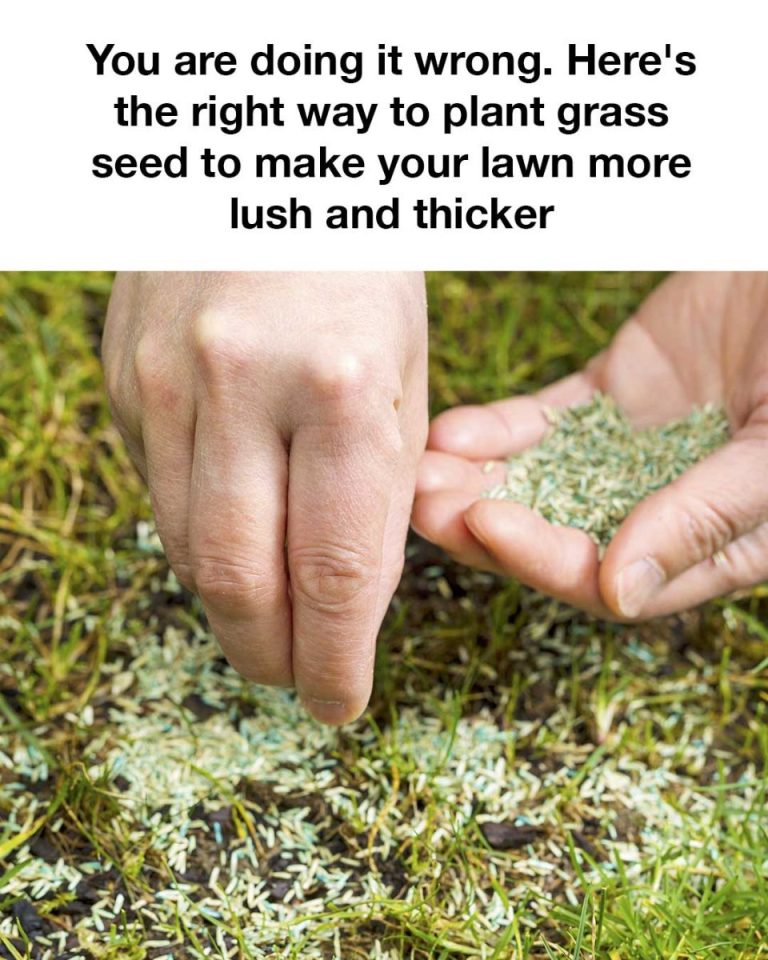 Great info! Wish I saw this earlier!