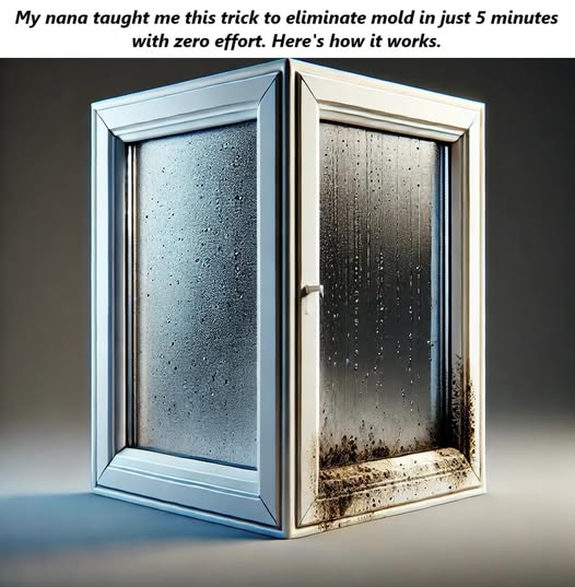 Nana’s Secret to Effortlessly Eliminating Household Mold
