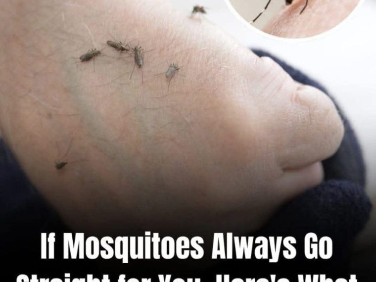 Why Mosquitoes Bite Some People More Than Others (Backed by Science)