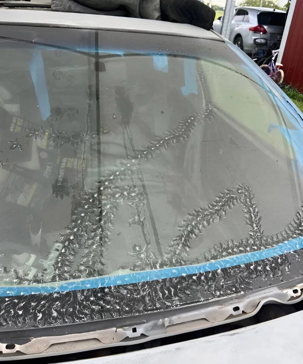 The Mystery of the Strange Marks on My Car — and the Tiny Visitors Behind Them