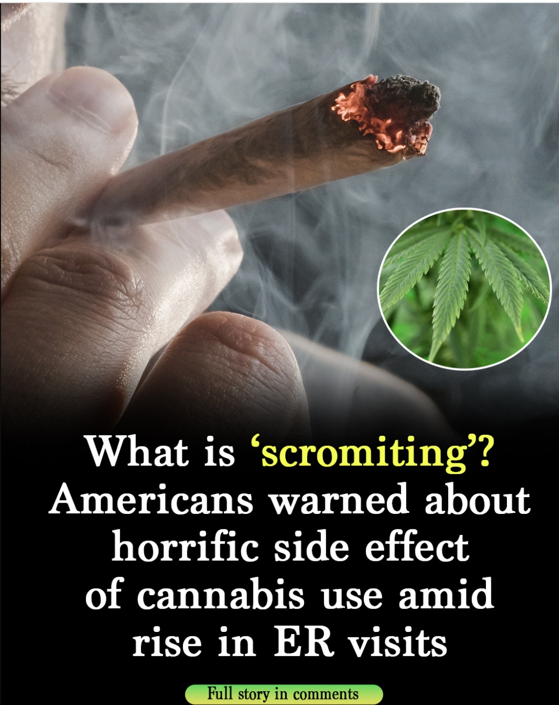 What is ‘scromiting’? US citizens warned about terrifying cannabis side effect
