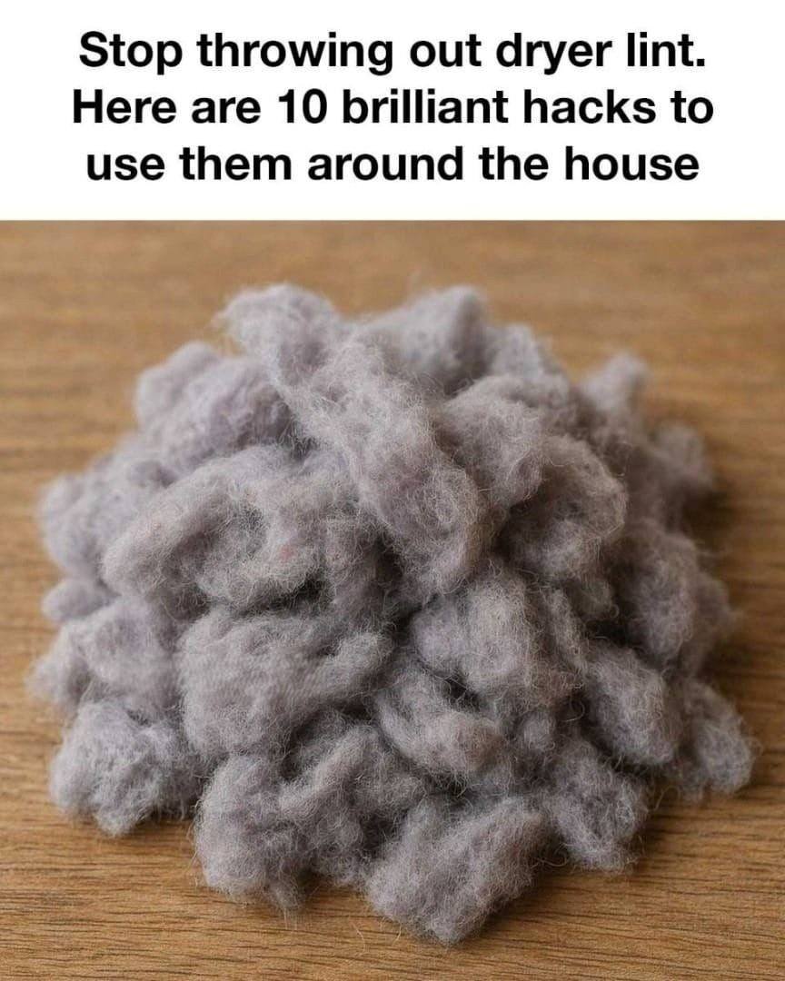 Stop throwing out dryer lint. Here are 10 brilliant hacks to use them around the house