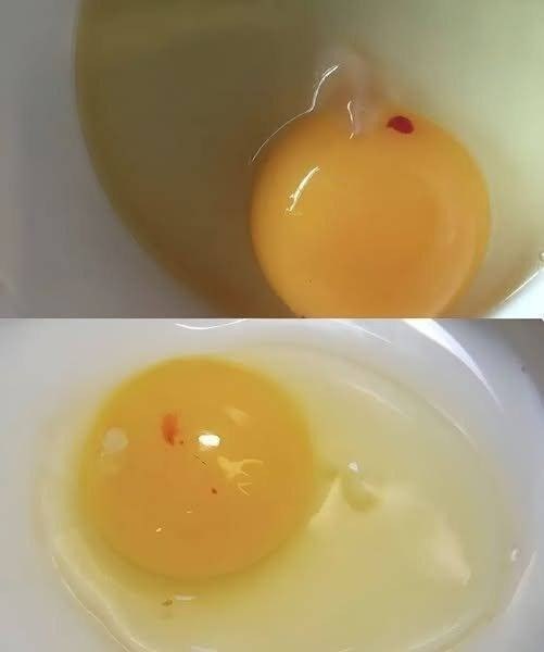 The Truth About Those Red Spots in Your Eggs: Are They Safe to Eat?