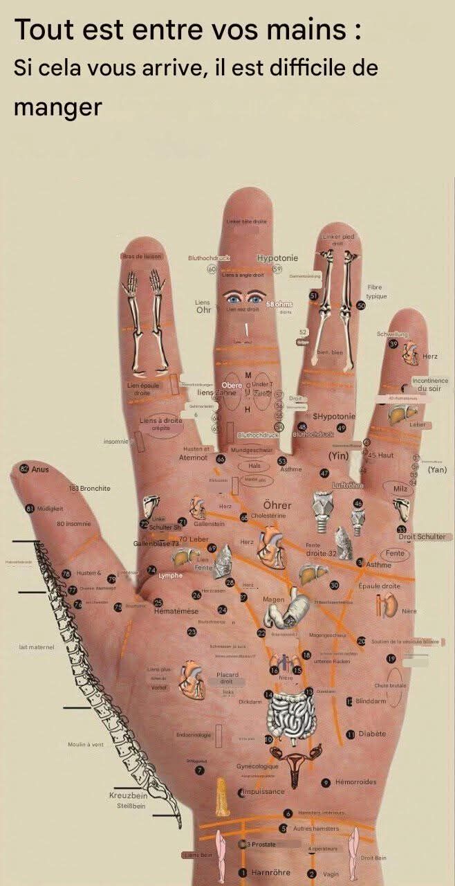 Tout est dans la paume de votre main : appuyez sur ces points pour éliminer vos douleurs