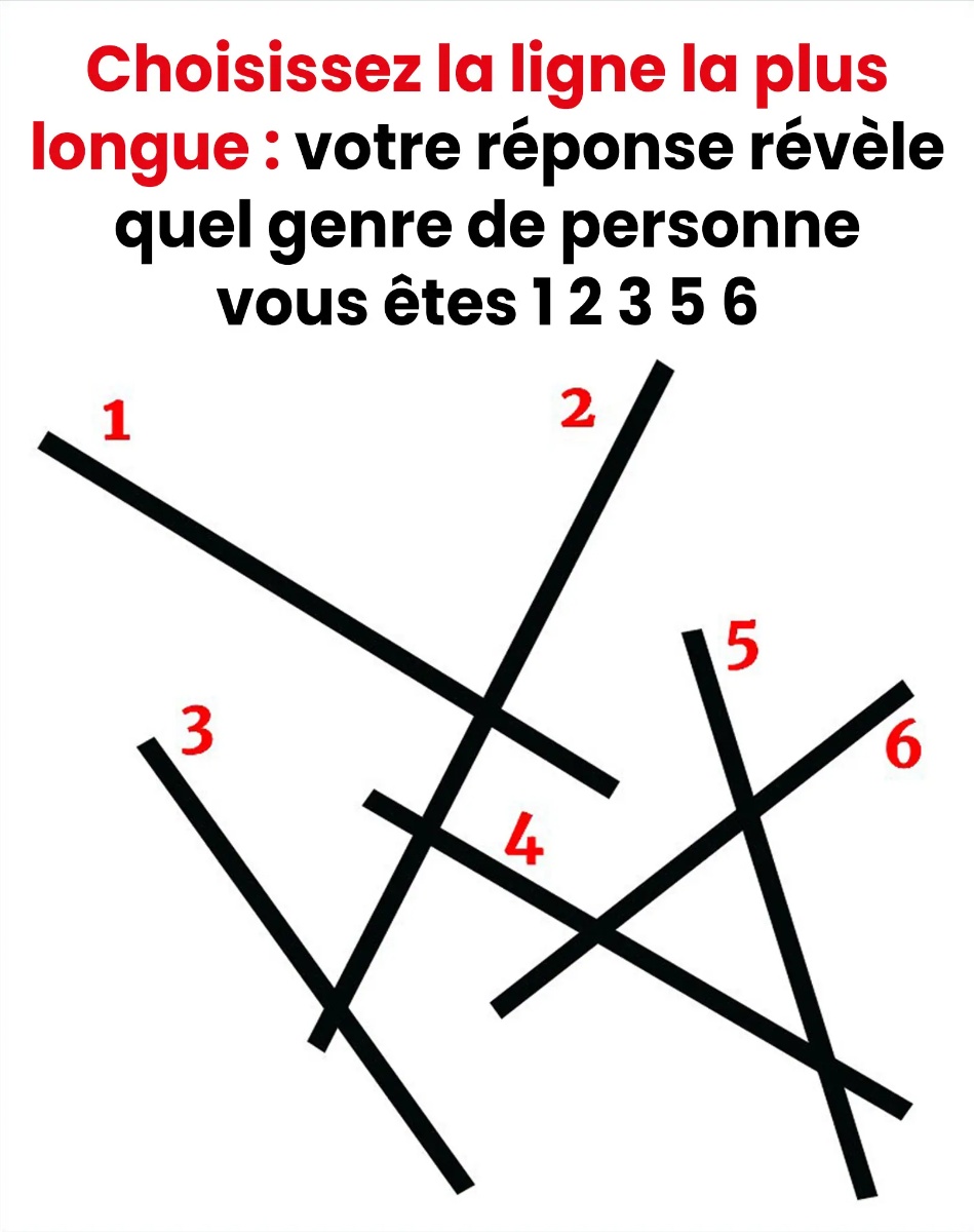 Y.Choisissez la ligne la plus longue, votre réponse révèle le type de personne que vous êtes