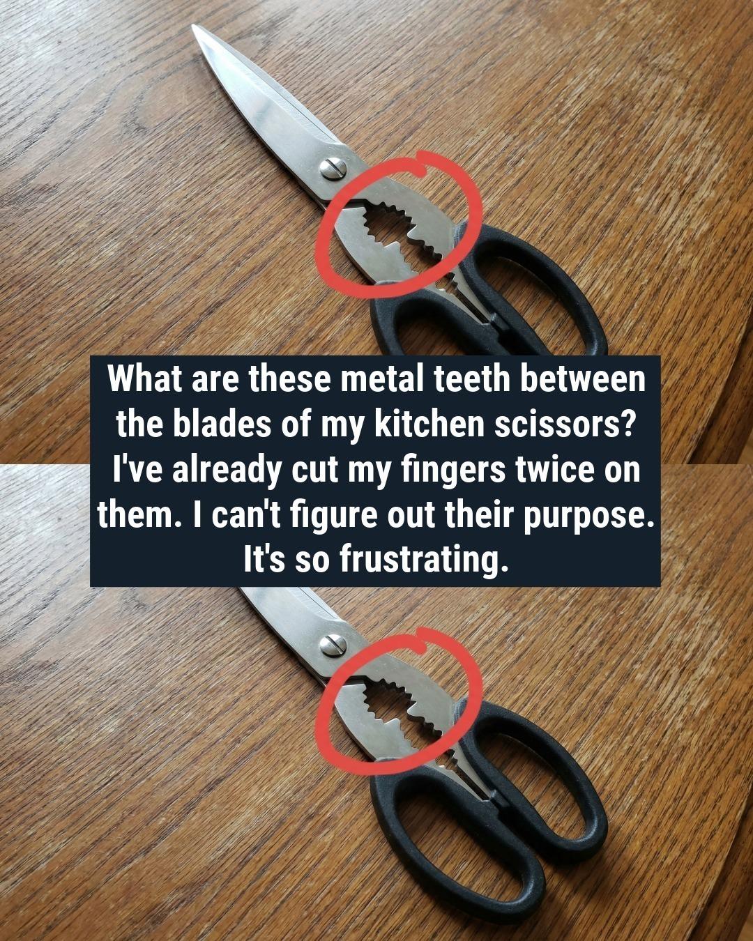 What Is That Weird Toothed Part on Kitchen Scissors For?
