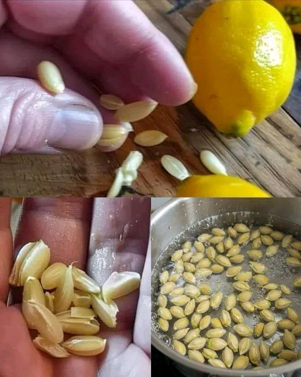 # Quand vous pressez un citron, ne faites pas l’erreur de jeter les pépins : ils sont d’une valeur inestimable.